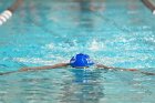 Swimming vs Babson  Wheaton College Swimming vs Babson College. - Photo By: KEITH NORDSTROM : Wheaton, Swimming, Babson